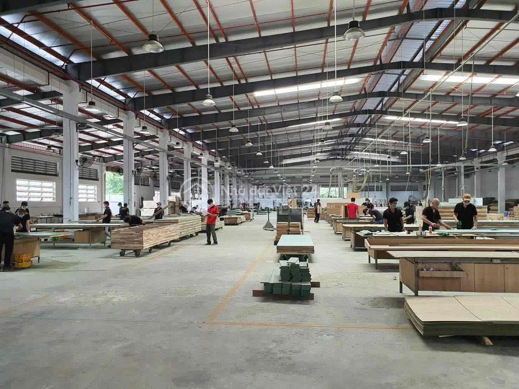 Kho xưởng cho thuê 2000m2, pccc tự động, chỉ 45k/m2
