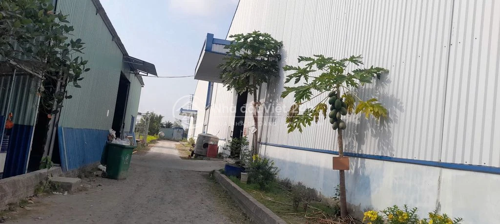 CHO THUÊ KHO XƯỞNG LINH HOẠT 10.000M2 70.000-90.000 Đ/M2