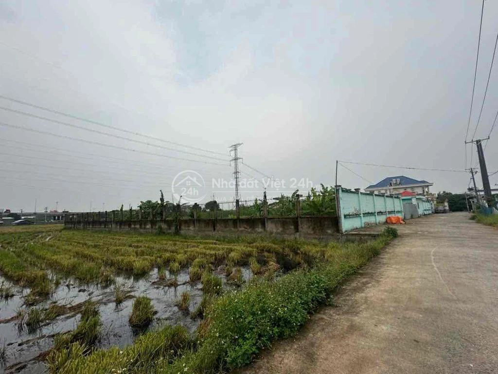 🔴 CHO THUÊ ĐẤT GIÁ TỐT LÂU DÀI DIỆN TÍCH 4225 M2