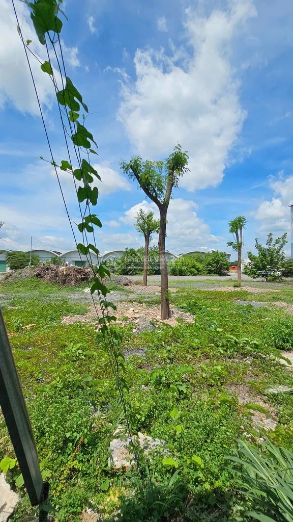 Cho thuê Đất 4000m2 mặt tiền Trường chinh, Tân Phú có cắt lẻ 500m2