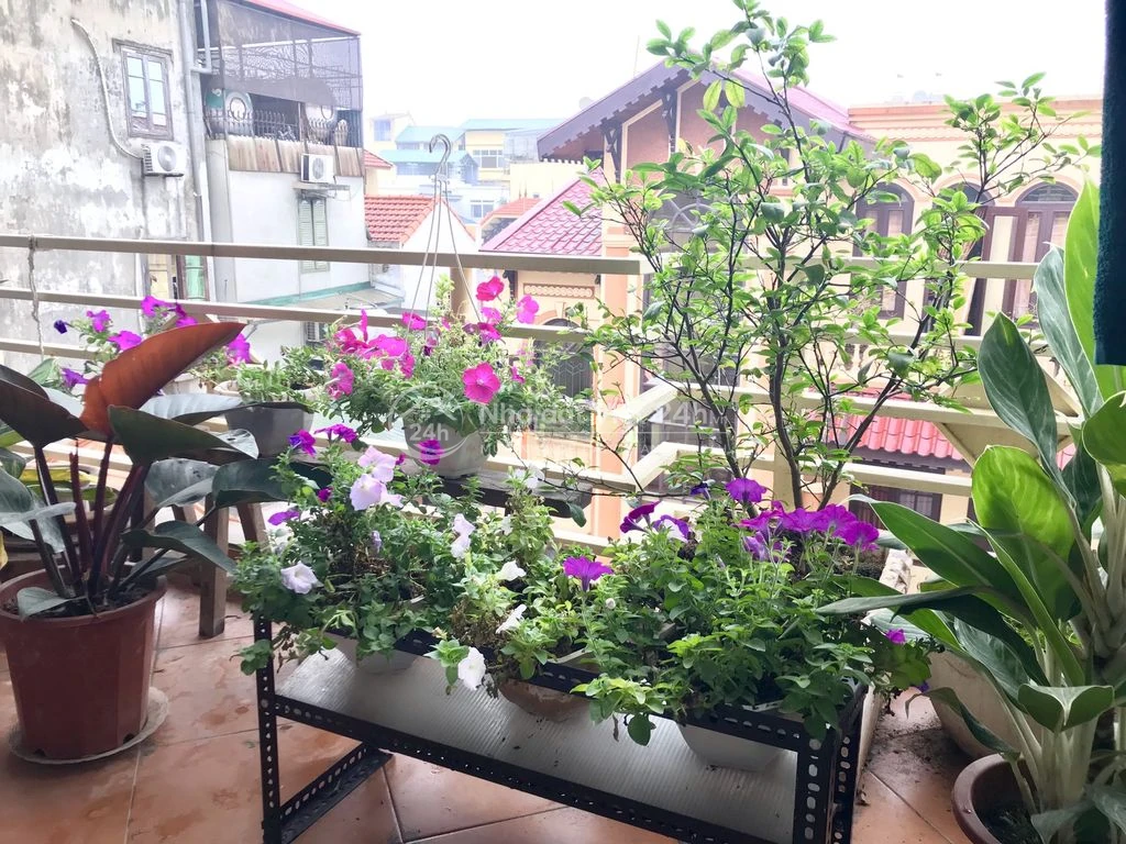 Cho thuê căn hộ tại Cầu Giấy với không gian sống chỉnh chu và văn minh